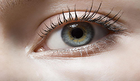 角膜结膜干燥症是怎么回事?