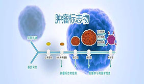 肿瘤指标偏高，就是得了癌？