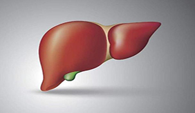 肝病早期有哪些症状需警惕？如何保护好肝脏？